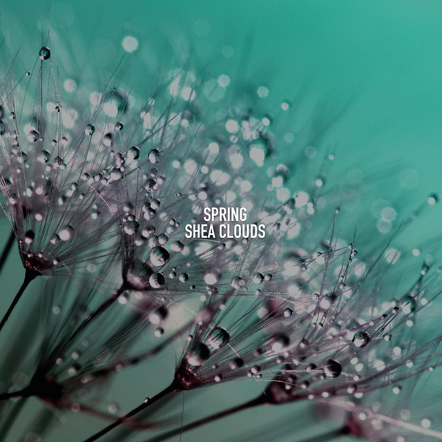 Spring cover art