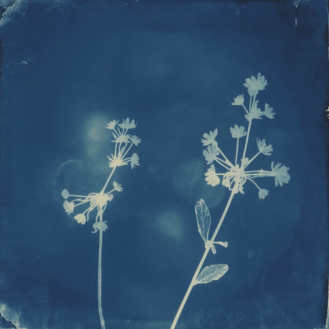 Portada de Blue soul