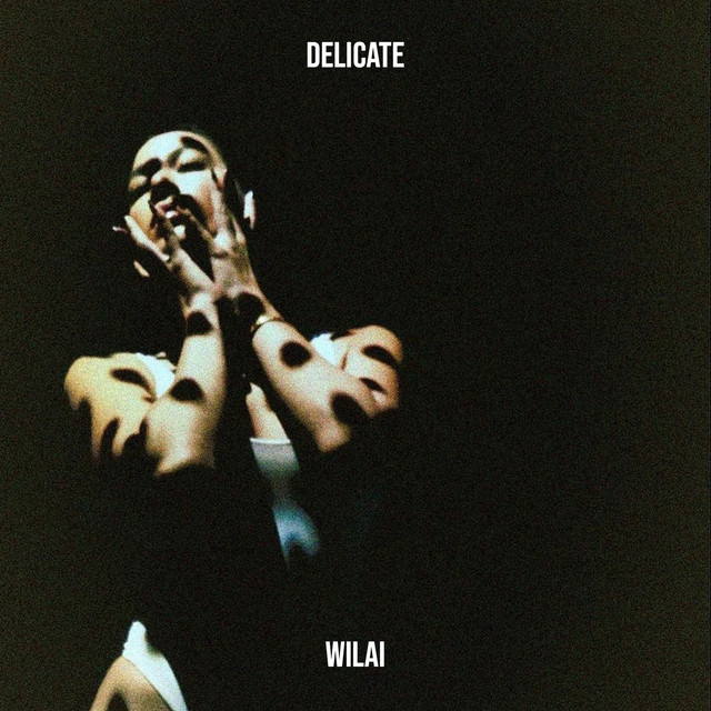 Delicate cover art
