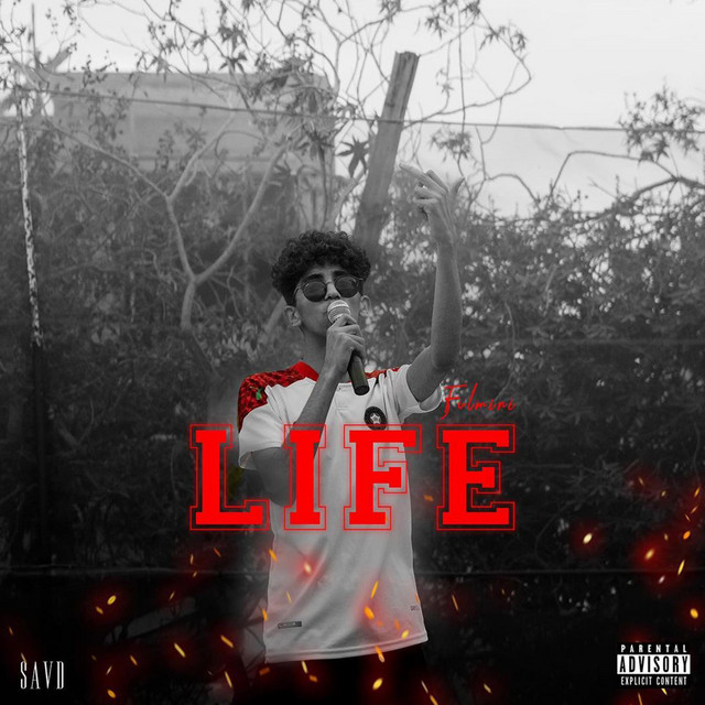 LIFE cover art
