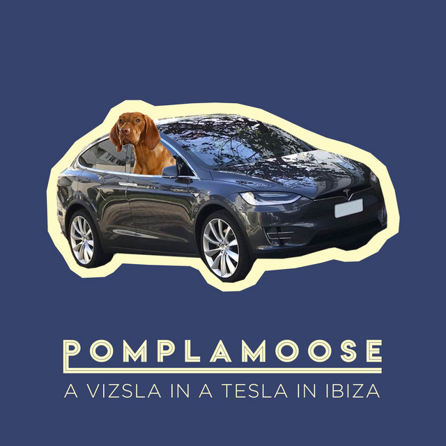 A Vizsla in a Tesla in Ibiza