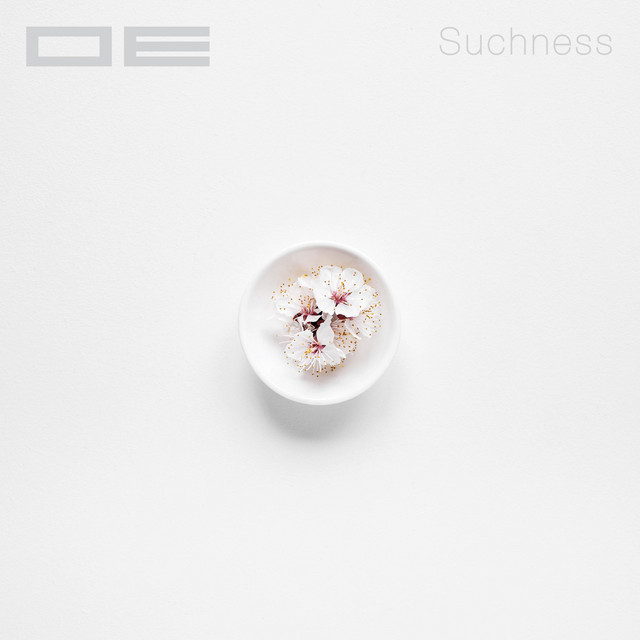 Suchness cover art