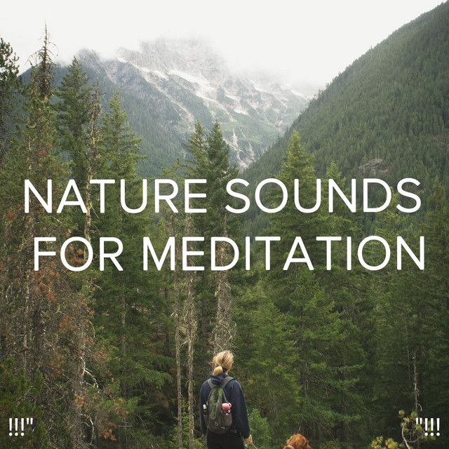 Nature Sounds For Meditation "!!! - Album by Yoga | Spotify