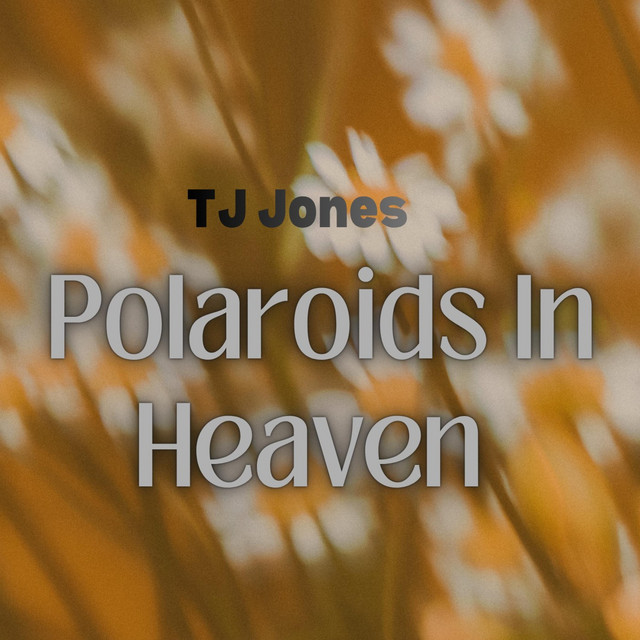Polaroids in Heaven