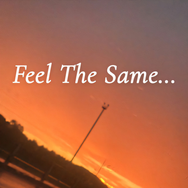 Feel The Same...