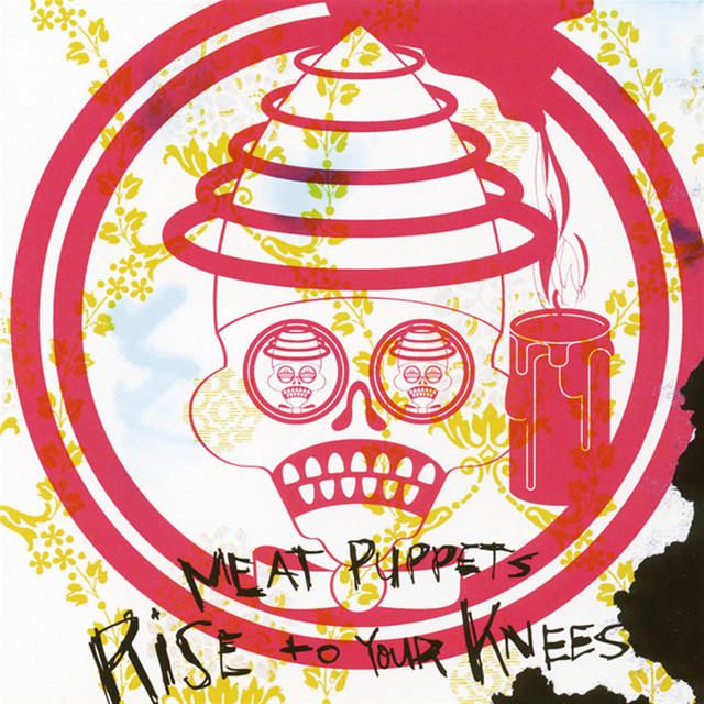 Rise To Your Knees cover art