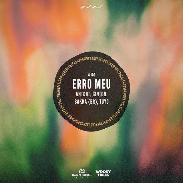 Erro Meu album image