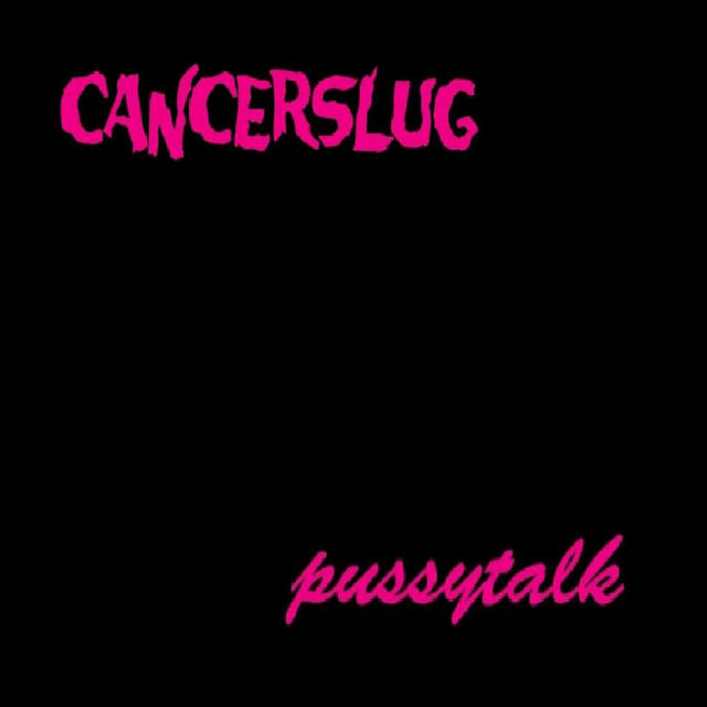 Pussytalk cover art