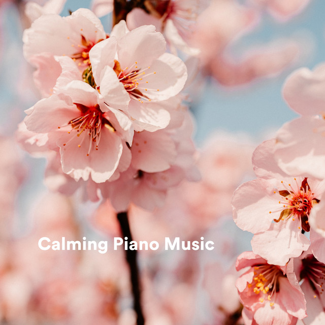 Calming Piano Music cover art