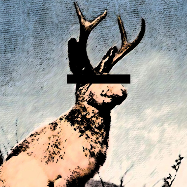 PYRETHRIN cover art