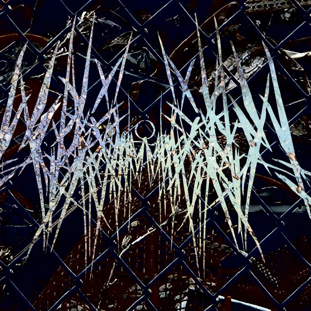 Arachnodactyl
