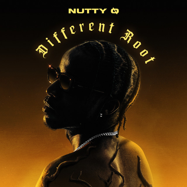 Different Root album image