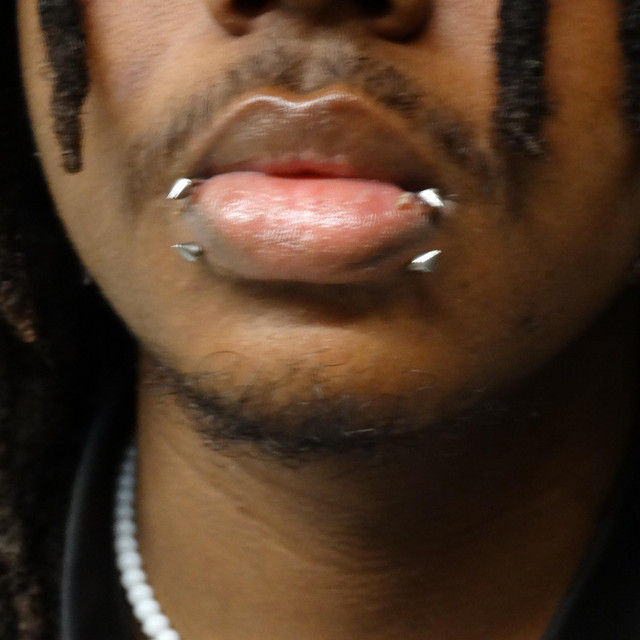 vines cover art