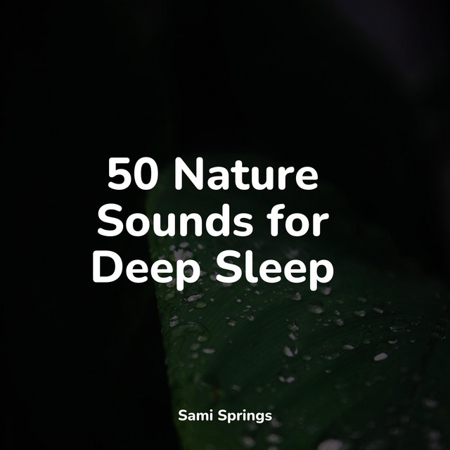 50 Nature Sounds for Deep Sleep - Album by Music For Absolute Sleep ...