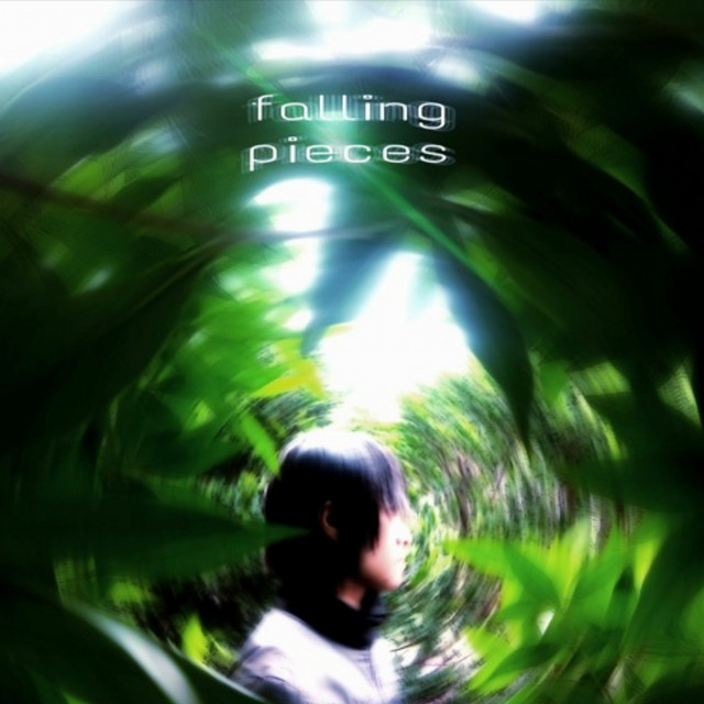 falling pieces cover art