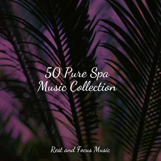 50 Pure Spa Music Collection - Album by Meditação Yoga | Spotify