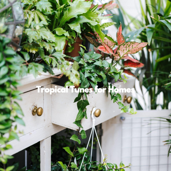 Tropical Tunes for Homes cover art