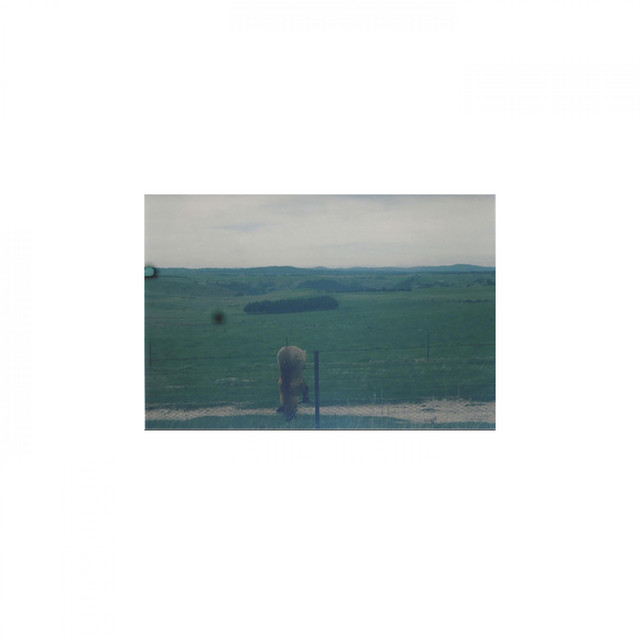 Oxen cover art