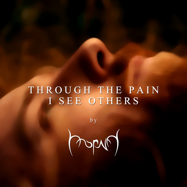 Through The Pain I See Others cover