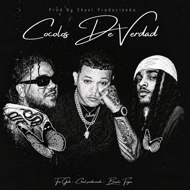 COCOLOS DE VERDAD album image