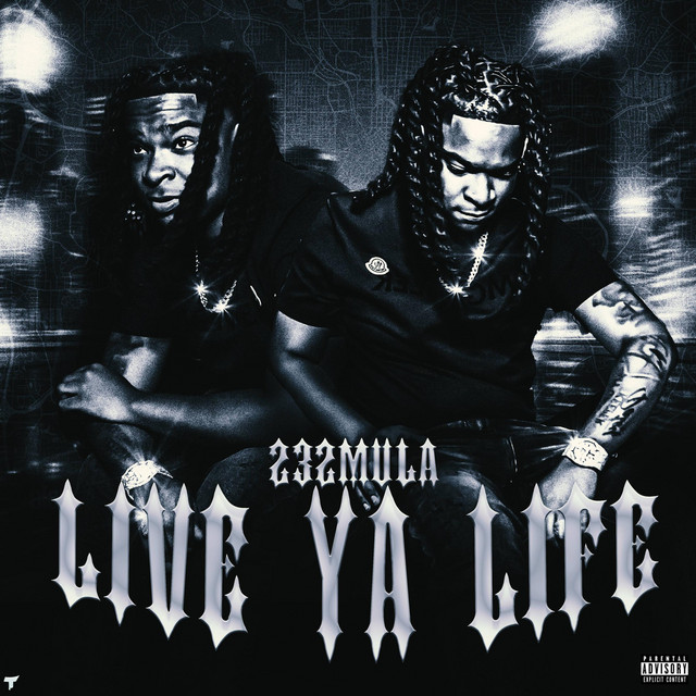 232MULA