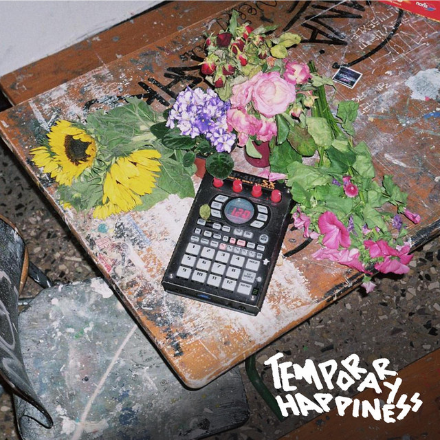 Temporary Happiness cover art