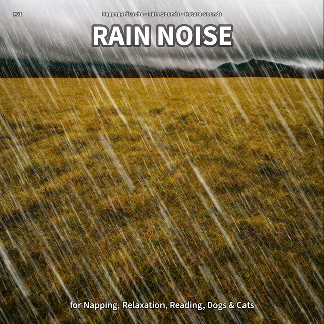 #01 Rain Noise for Napping, Relaxation, Reading, Dogs & Cats cover art
