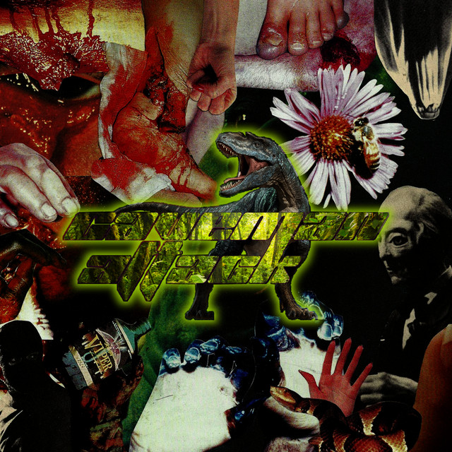 3 Way Split cover art