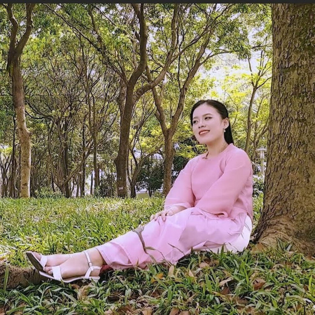 Bài Ca Đất Phương Nam artwork