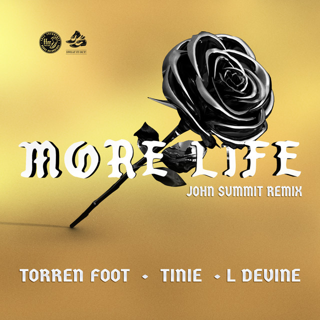More Life (feat. Tinie Tempah & L Devine) - John Summit Remix