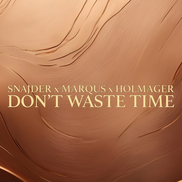 Don't Waste Time - Radio