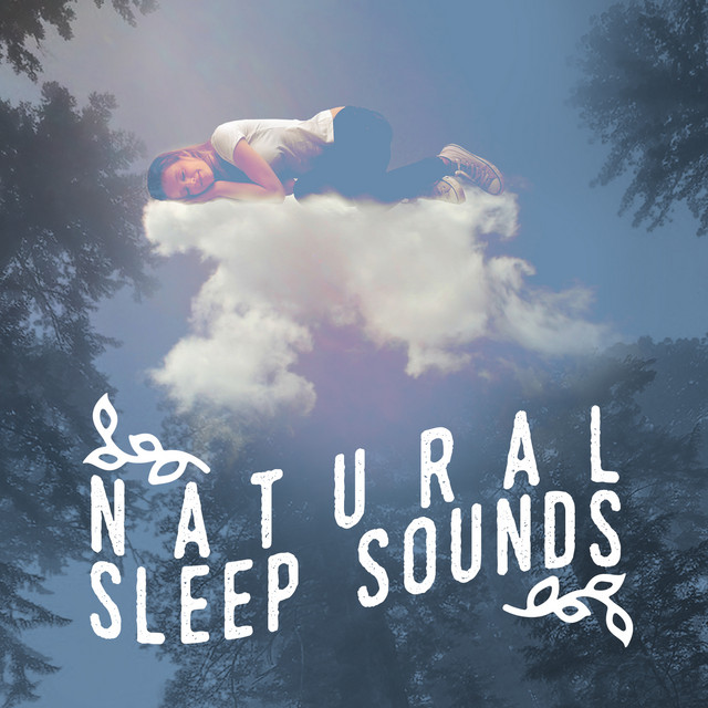 Natural Sleep Sounds cover art