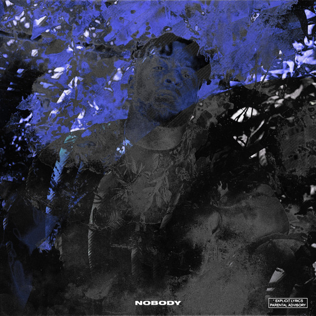 Nobody cover art