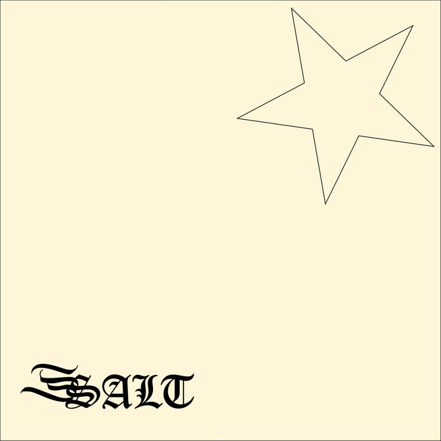 salt cover art