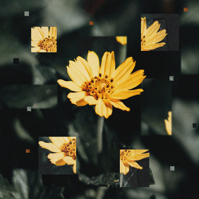Despite everything, it's still you cover art