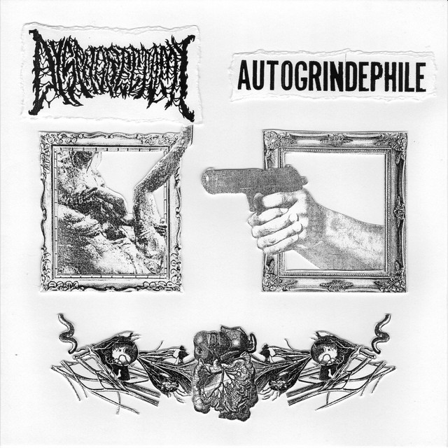Dysphorectomy/Autogrindephile Split cover art