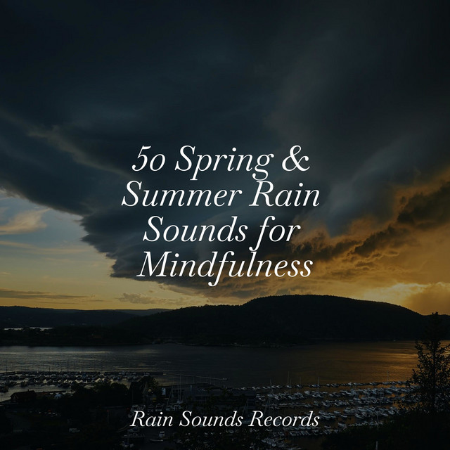 50 Spring & Summer Rain Sounds for Mindfulness - Album by Yoga | Spotify