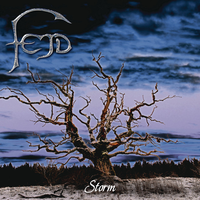 Storm cover art