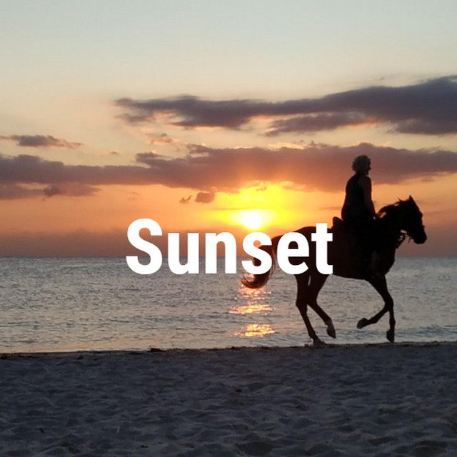 Sunset cover art