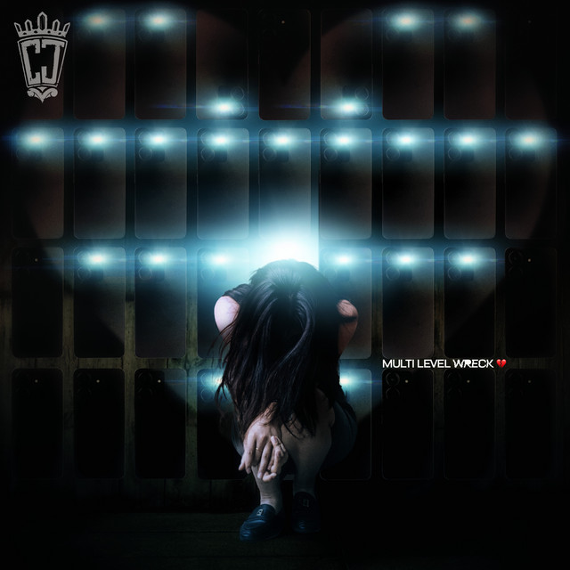 Cover of Multi Level Wreck