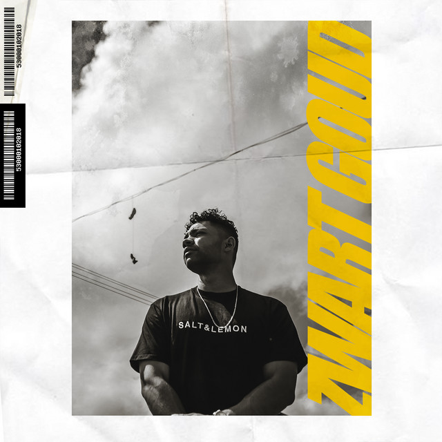 Fastlife cover art