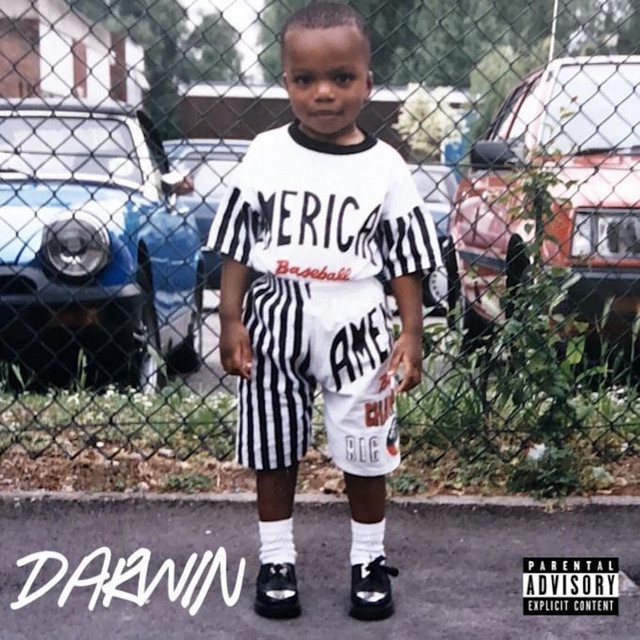 Wild cover art