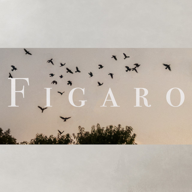 FIGARO cover art