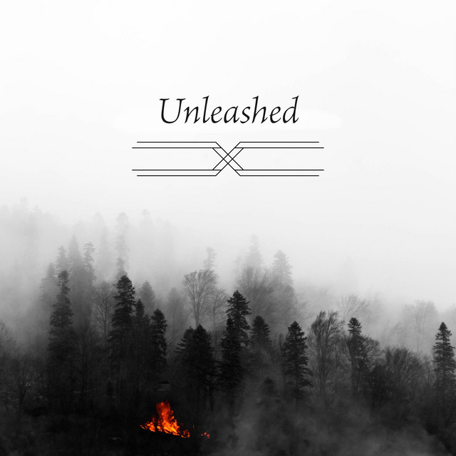 Unleashed cover art