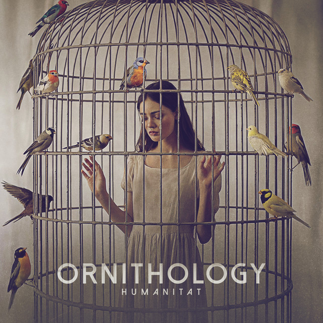 Ornithology cover