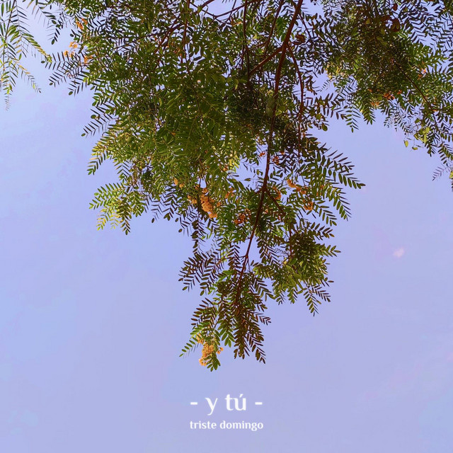 Y tú cover art