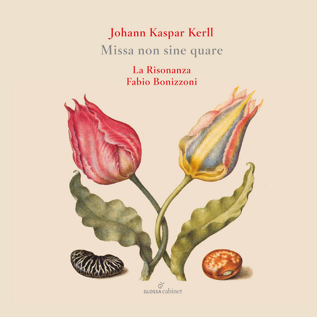 Missa non sine quare album image