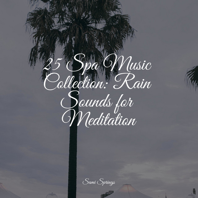 25 Spa Music Collection: Rain Sounds for Meditation - Album by Music to ...