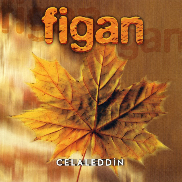 Figan cover art