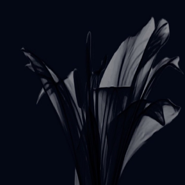 null. cover